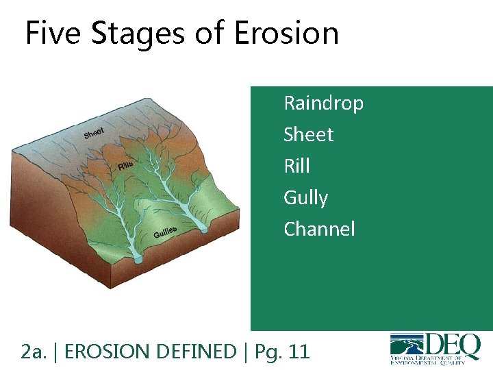 Five Stages of Erosion 1. 2. 3. 4. 5. Raindrop Sheet Rill Gully Channel Five Stages of Erosion 1. 2. 3. 4. 5. Raindrop Sheet Rill Gully Channel