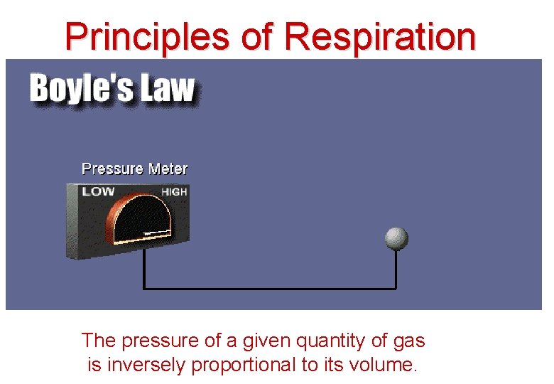 Principles of Respiration The pressure of a given quantity of gas is inversely proportional