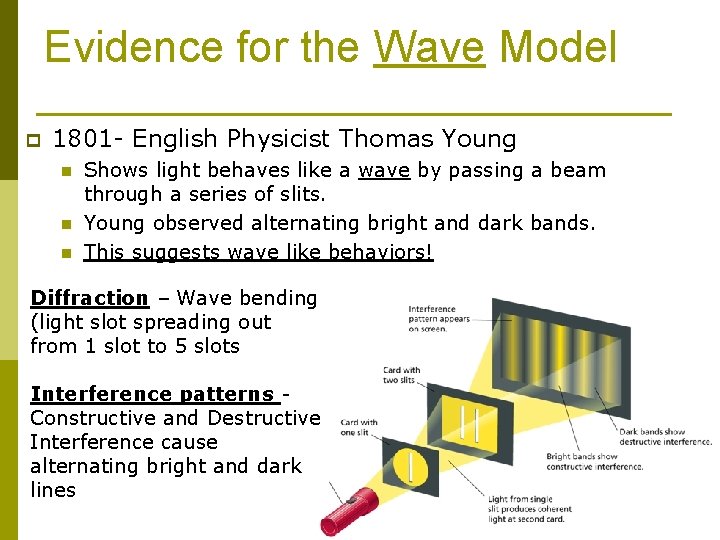 Evidence for the Wave Model p 1801 - English Physicist Thomas Young n n