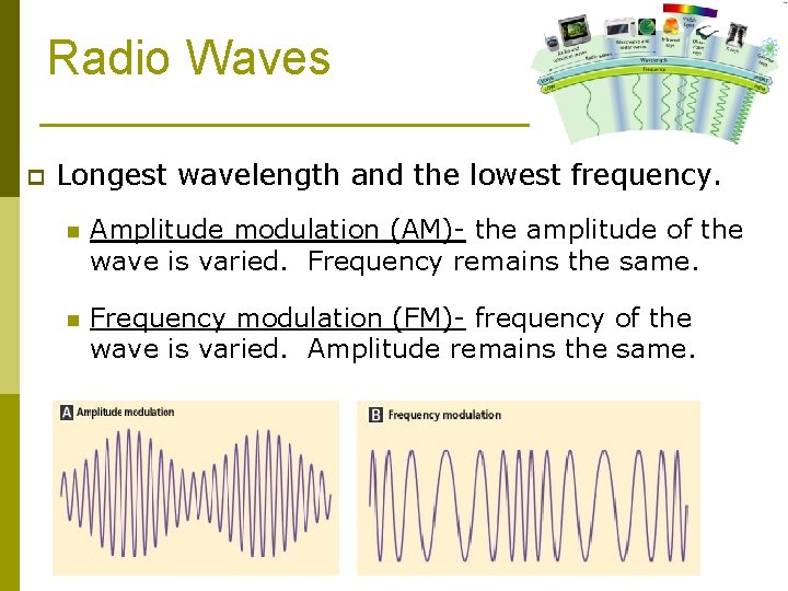 Radio Waves p Longest wavelength and the lowest frequency. n Amplitude modulation (AM)- the