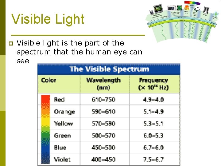 Visible Light p Visible light is the part of the spectrum that the human