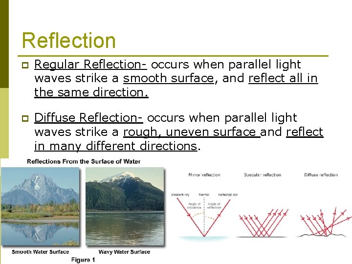 Reflection p Regular Reflection- occurs when parallel light waves strike a smooth surface, and
