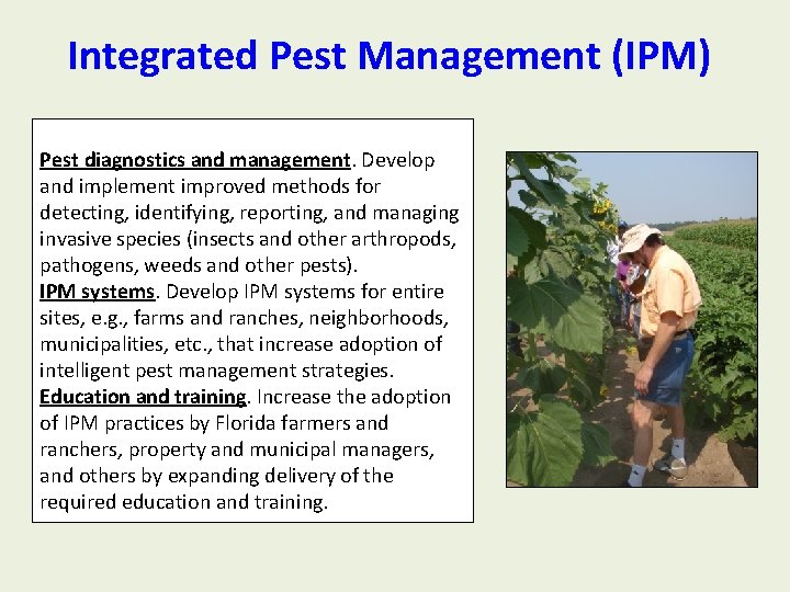 Integrated Pest Management (IPM) Pest diagnostics and management. Develop and implement improved methods for