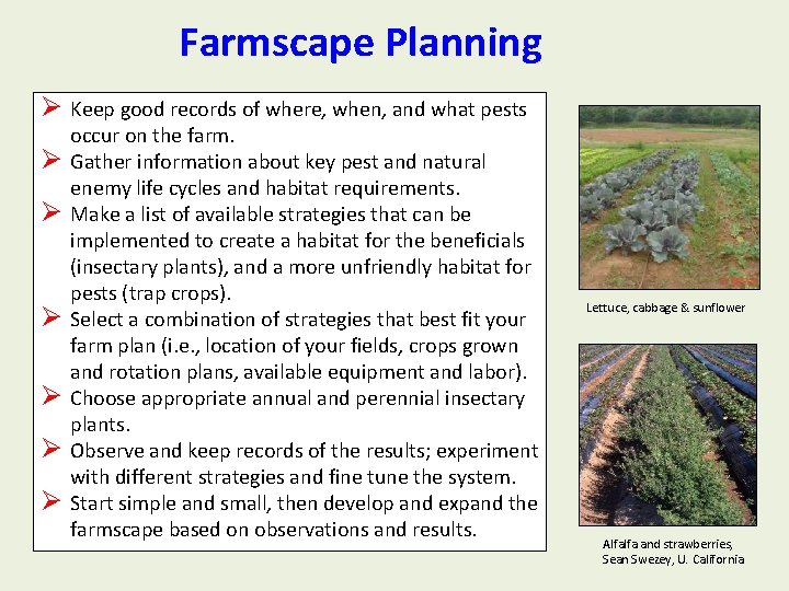 Farmscape Planning Ø Keep good records of where, when, and what pests Ø Ø