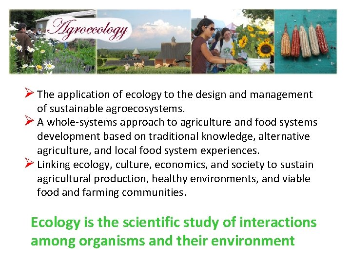 Ø The application of ecology to the design and management of sustainable agroecosystems. Ø