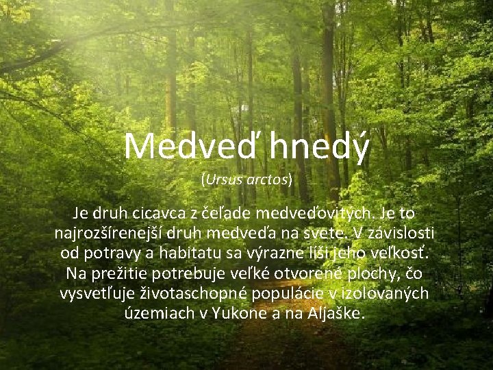 Medveď hnedý (Ursus arctos) Je druh cicavca z čeľade medveďovitých. Je to najrozšírenejší druh