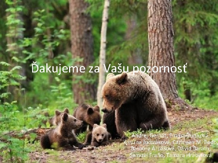 Ďakujeme za Vašu pozornosť Andrej Gerhát, Emma Ďuríková, Kristína Jurczáková, Cathleen M. Bodo, Barbora