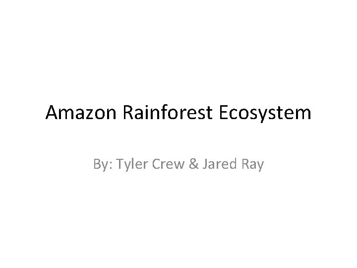 Amazon Rainforest Ecosystem By: Tyler Crew & Jared Ray 