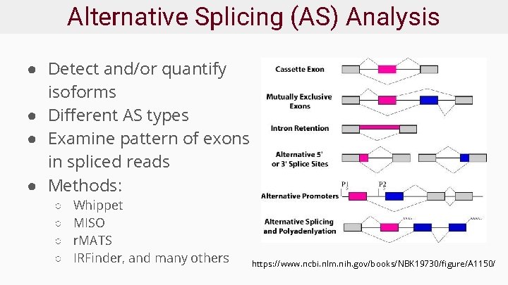 Alternative Splicing (AS) Analysis ● Detect and/or quantify isoforms ● Different AS types ●