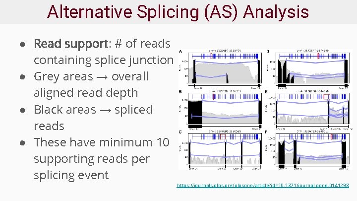 Alternative Splicing (AS) Analysis ● Read support: # of reads containing splice junction ●