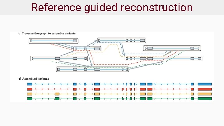 Reference guided reconstruction 