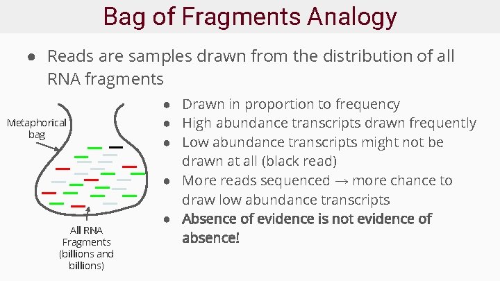 Bag of Fragments Analogy ● Reads are samples drawn from the distribution of all