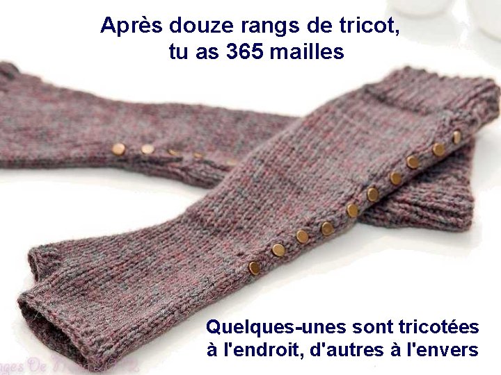 Après douze rangs de tricot, tu as 365 mailles Quelques-unes sont tricotées à l'endroit,