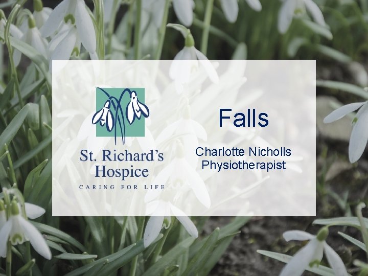 Falls Charlotte Nicholls Physiotherapist 