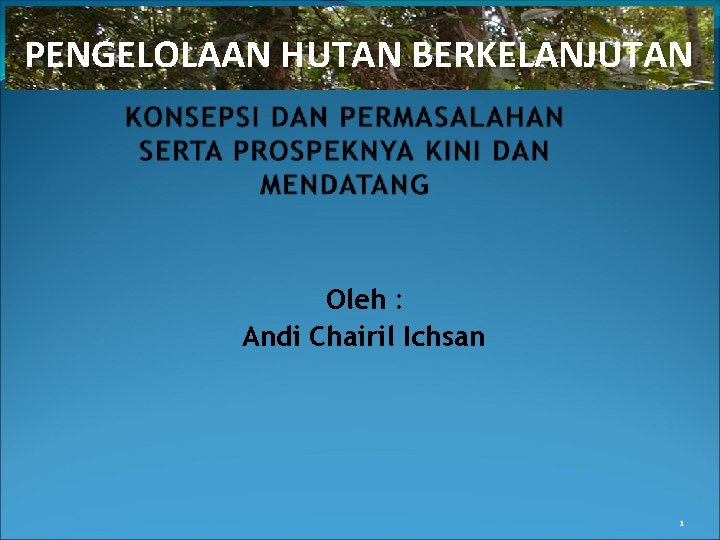 PENGELOLAAN HUTAN BERKELANJUTAN Oleh : Andi Chairil Ichsan 1 