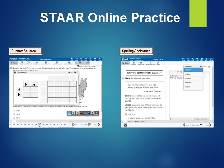 STAAR Online Practice STAAR Online Practice