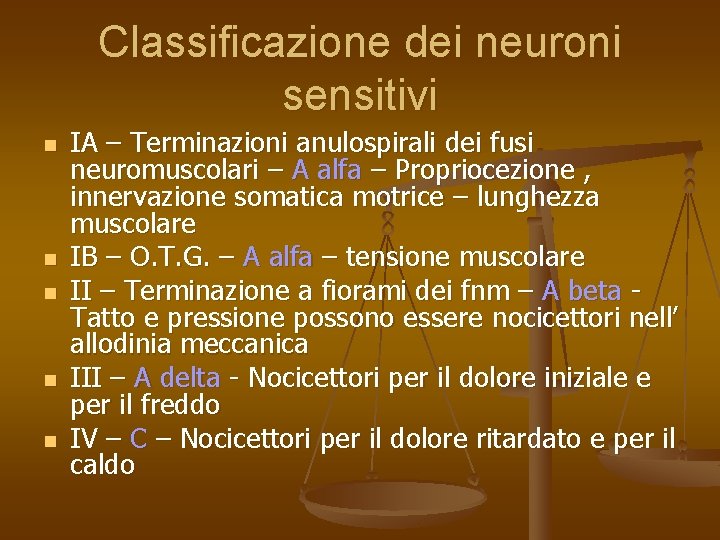 Classificazione dei neuroni sensitivi n n n IA – Terminazioni anulospirali dei fusi neuromuscolari