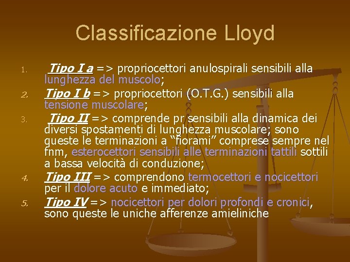 Classificazione Lloyd 1. 2. 3. 4. 5. Tipo I a => propriocettori anulospirali sensibili