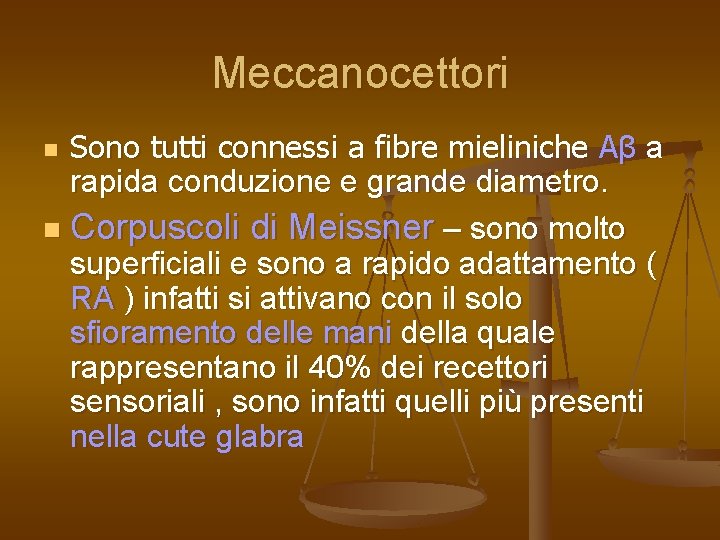 Meccanocettori Sono tutti connessi a fibre mieliniche Aβ a rapida conduzione e grande diametro.