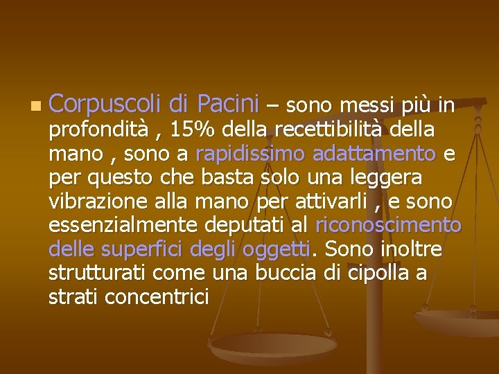 n Corpuscoli di Pacini – sono messi più in profondità , 15% della recettibilità