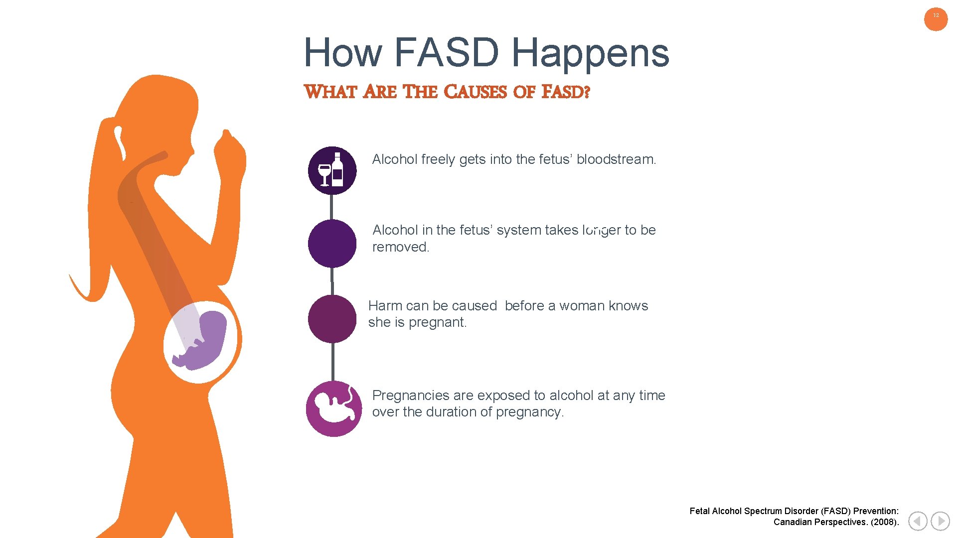 12 How FASD Happens WHAT ARE THE CAUSES OF FASD? Alcohol freely gets into