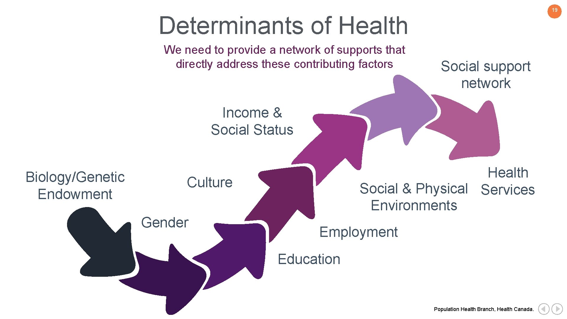 19 Determinants of Health We need to provide a network of supports that directly