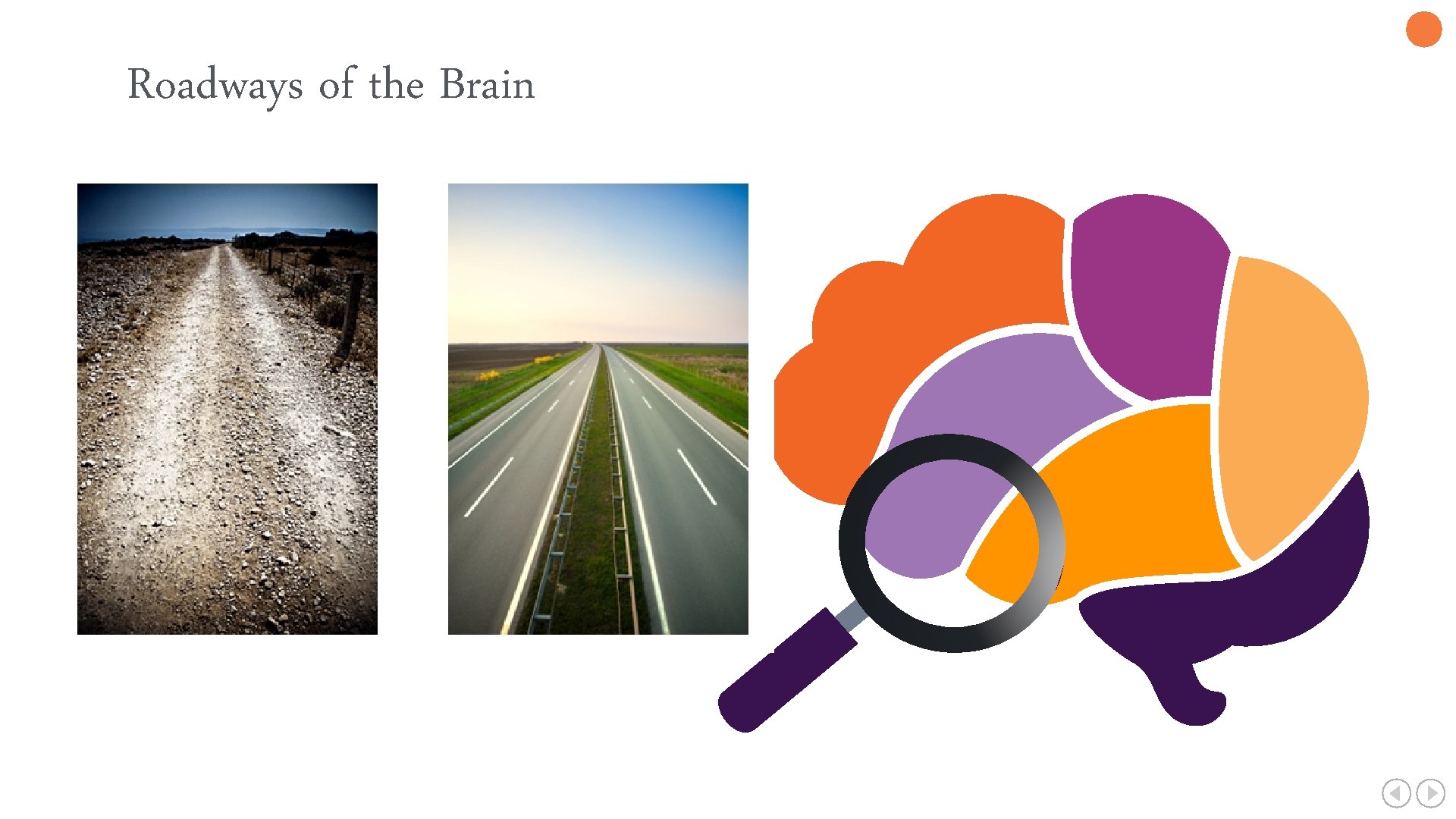 Roadways of the Brain 