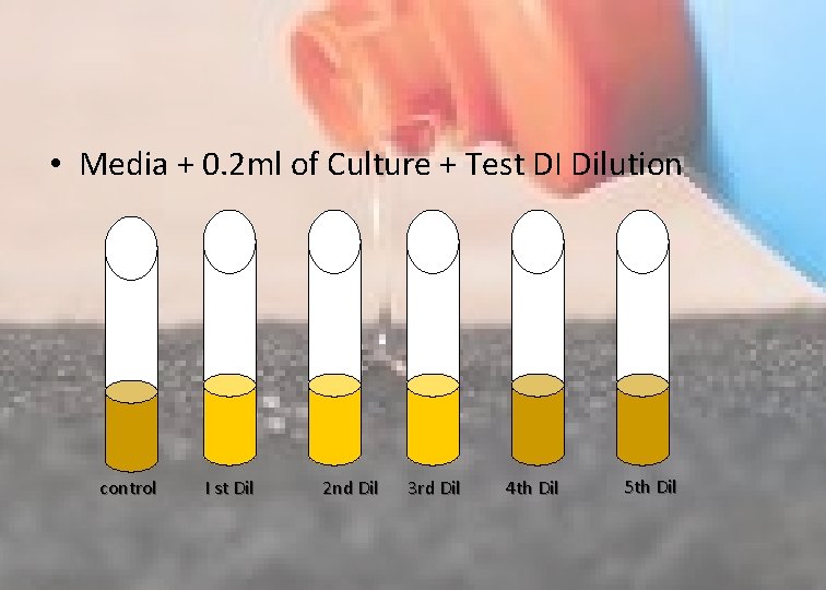  • Media + 0. 2 ml of Culture + Test DI Dilution control