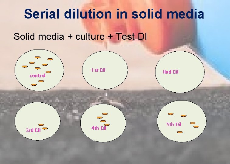 Serial dilution in solid media Solid media + culture + Test DI control 3