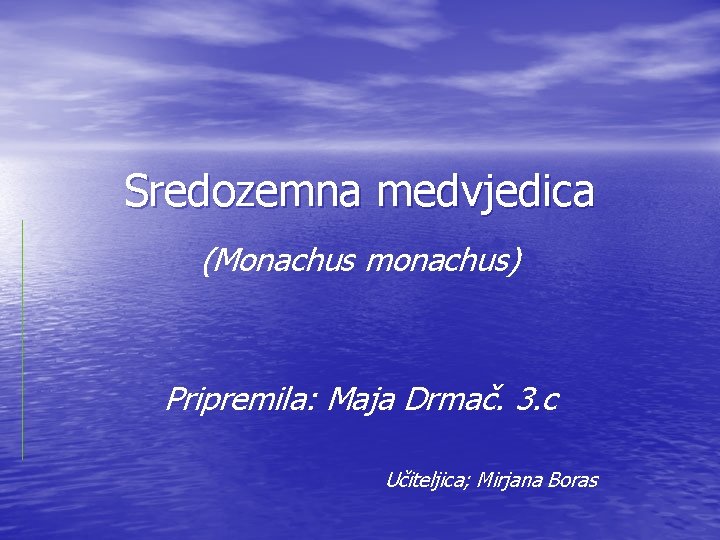 Sredozemna medvjedica (Monachus monachus) Pripremila: Maja Drmač. 3. c Učiteljica; Mirjana Boras 