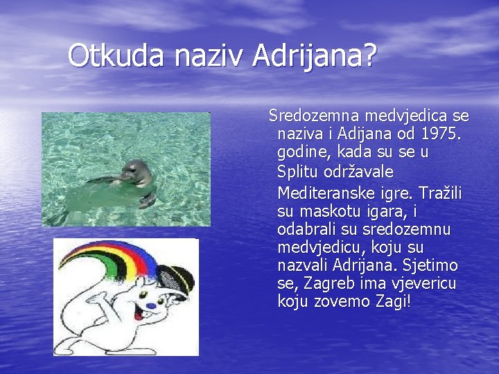 Otkuda naziv Adrijana? Sredozemna medvjedica se naziva i Adijana od 1975. godine, kada su