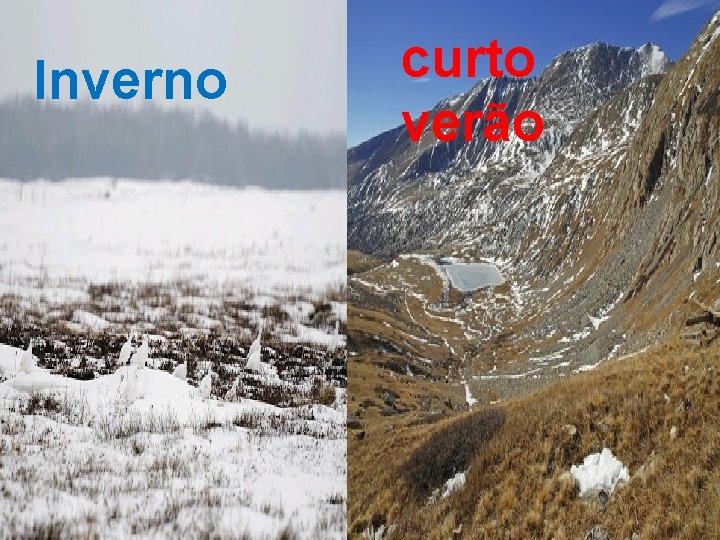 Inverno curto verão 