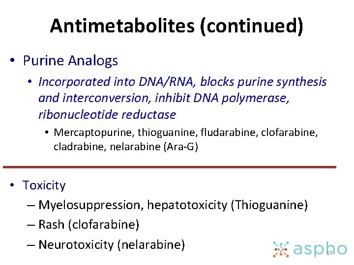 Antimetabolites (continued) • Purine Analogs • Incorporated into DNA/RNA, blocks purine synthesis and interconversion,