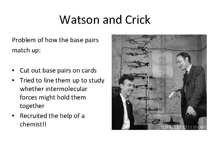 Watson and Crick Problem of how the base pairs match up: • Cut out
