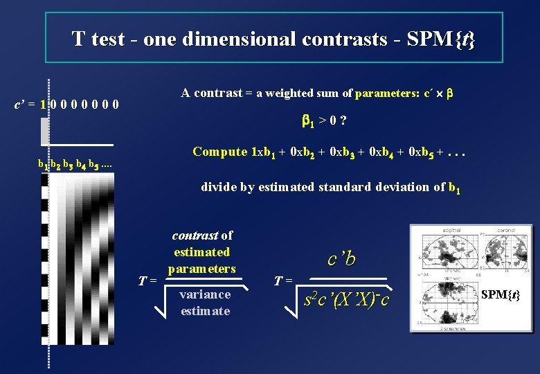 T test - one dimensional contrasts - SPM{t} A contrast = a weighted sum