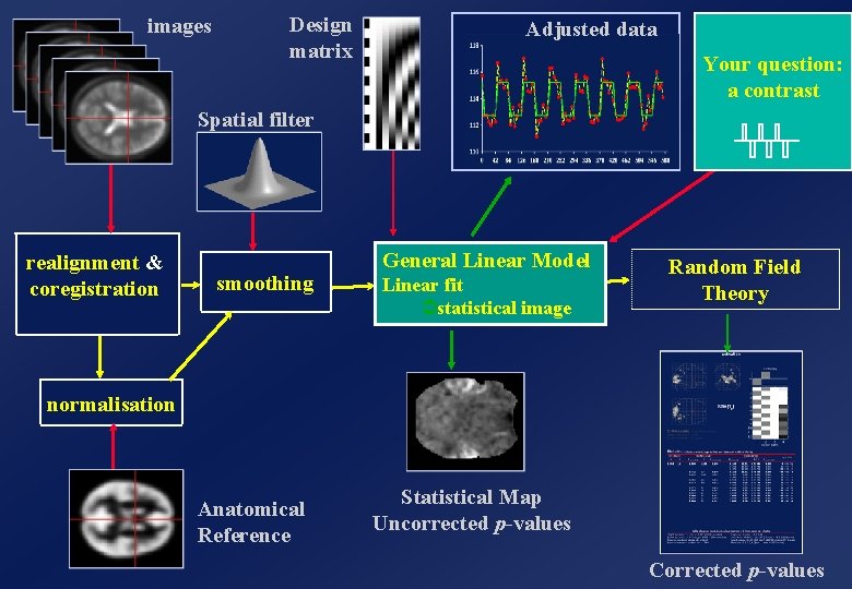 images Design matrix Adjusted data Your question: a contrast Spatial filter realignment & coregistration