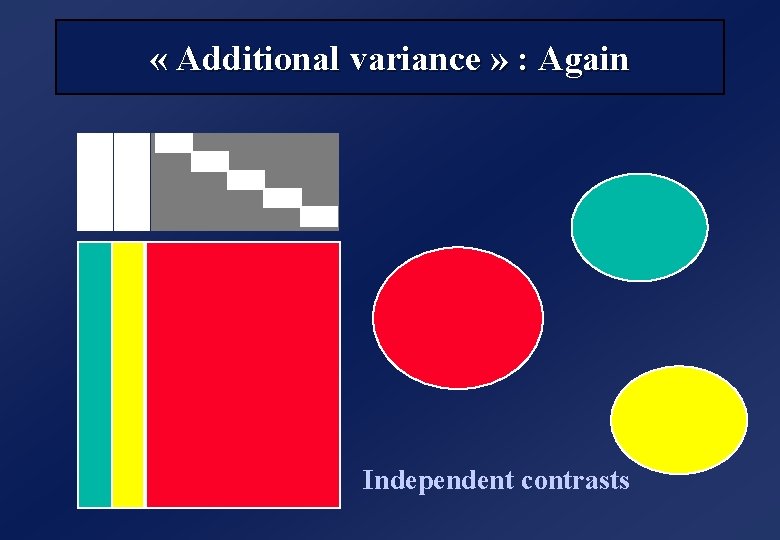  « Additional variance » : Again Independent contrasts 