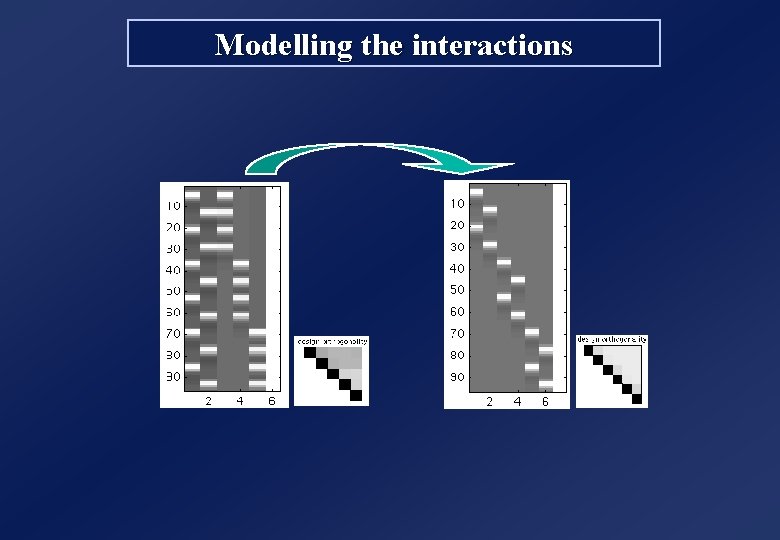 Modelling the interactions 