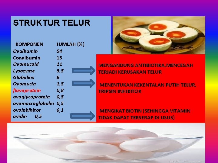 STRUKTUR TELUR KOMPONEN Ovalbumin Conalbumin Ovomucoid Lysozyme Globulins Ovomucin flavoprotein ovoglycoprotein ovomacroglobulin ovoinhibitor avidin STRUKTUR TELUR KOMPONEN Ovalbumin Conalbumin Ovomucoid Lysozyme Globulins Ovomucin flavoprotein ovoglycoprotein ovomacroglobulin ovoinhibitor avidin