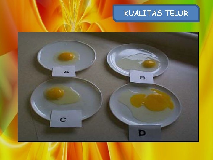 KUALITAS TELUR KUALITAS TELUR