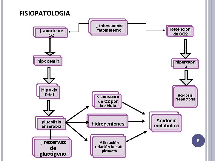FISIOPATOLOGIA ↓ aporte de O 2 ↓ intercambio fetomaterno hipoxemia Hipoxia fetal glucolisis anaerobia
