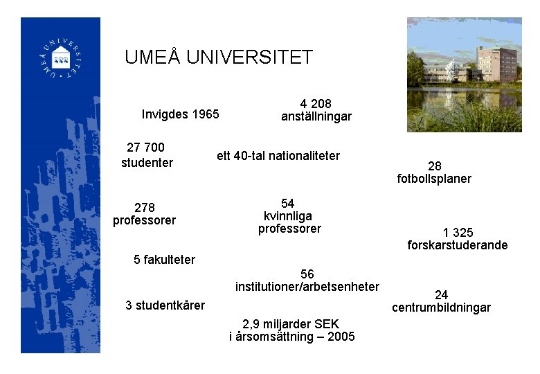 UMEÅ UNIVERSITET Invigdes 1965 27 700 studenter 278 professorer 4 208 anställningar ett 40