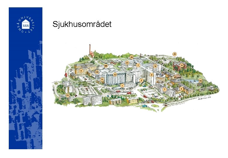 Sjukhusområdet 