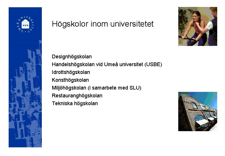 Högskolor inom universitetet Designhögskolan Handelshögskolan vid Umeå universitet (USBE) Idrottshögskolan Konsthögskolan Miljöhögskolan (i samarbete