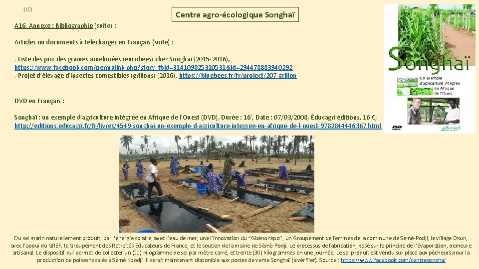 103 Centre agro-écologique Songhaï A 16. Annexe : Bibliographie (suite) : Articles ou documents