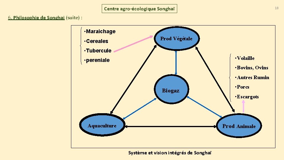 Centre agro-écologique Songhaï 18 6. Philosophie de Songhai (suite) : • Maraichage • Cereales