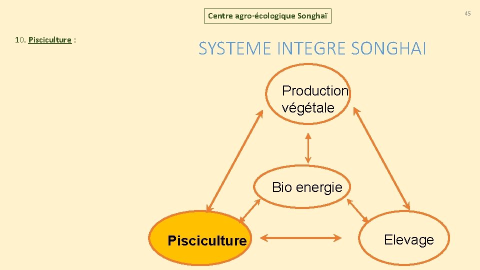 45 Centre agro-écologique Songhaï 10. Pisciculture : SYSTEME INTEGRE SONGHAI Production végétale Bio energie