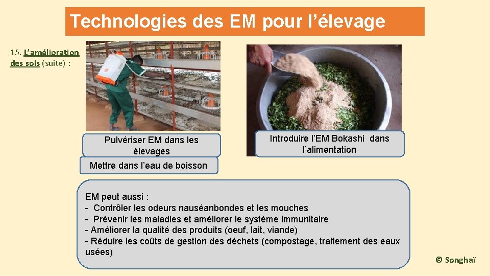 Technologies des EM pour l’élevage 15. L’amélioration des sols (suite) : Pulvériser EM dans
