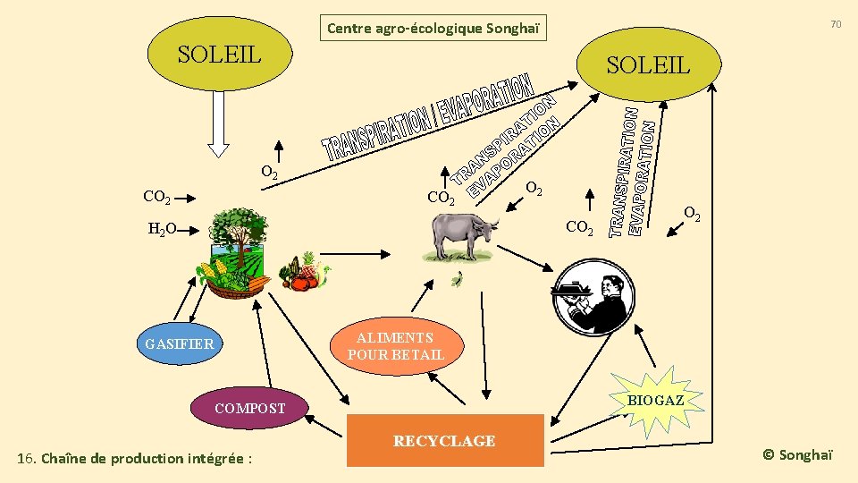 Centre agro-écologique Songhaï 70 SOLEIL O 2 CO 2 H 2 O GASIFIER ALIMENTS