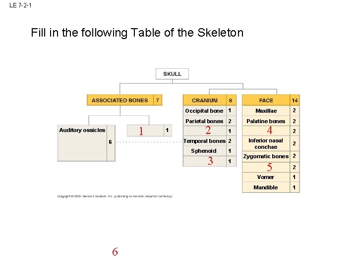 LE 7 -2 -1 Fill in the following Table of the Skeleton 1 Auditory LE 7 -2 -1 Fill in the following Table of the Skeleton 1 Auditory